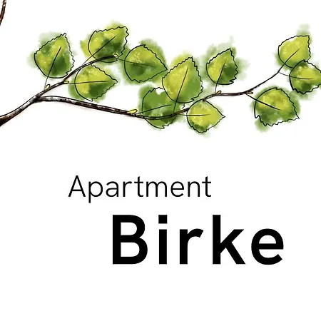 Komfort-apartment Birke アパート Tönisvorst