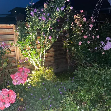 公寓 Komfort-apartment Birke