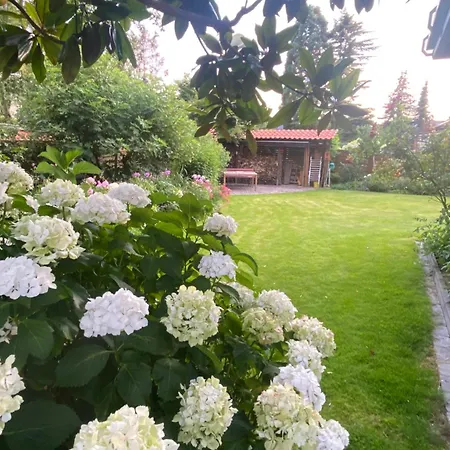 Komfort-apartment Birke Tönisvorst