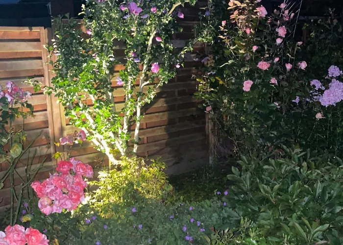 Lägenhet Komfort-apartment Birke