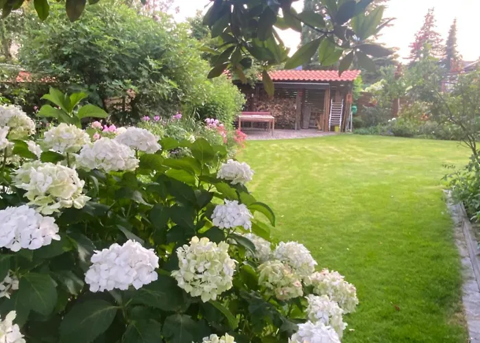 Komfort-apartment Birke Tönisvorst