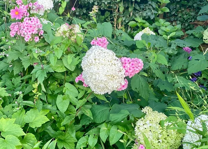 Komfort-apartment Birke Lägenhet Tönisvorst